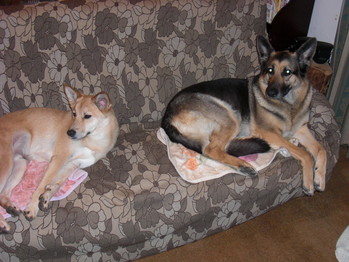 nana&maru