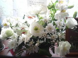 7a41829c.jpg