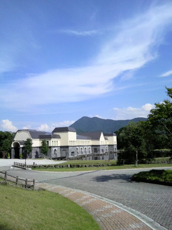 8a6c36e3.jpg