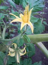 f3954a3f.jpg