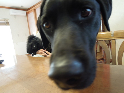 DSCN3989