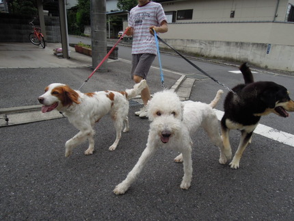 DSCN0929