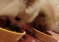 201202231m9