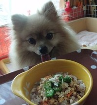 201207131e5