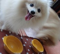 201206222m5