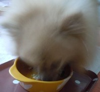 201207101e1