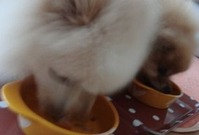 201206222m1
