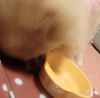 201202231e3
