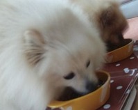 201206051m5