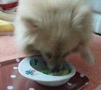 201203081e0
