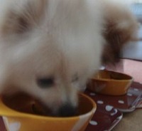 201206222m7