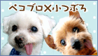 pecotubu-banner