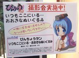 WF2005S_びんちょうタン_撮影会実施中