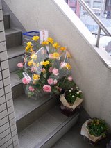 Cafe萌え萌え_入り口付近に置かれたお祝いの花
