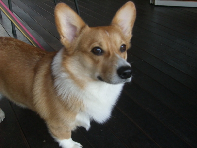 20100503_2