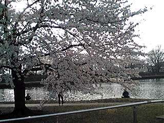 130324_1617~01_Ed.JPG