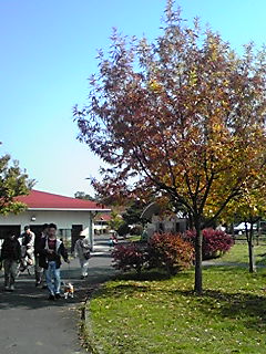 131117_1211~01.JPG