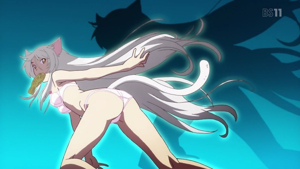 化物語 (11)