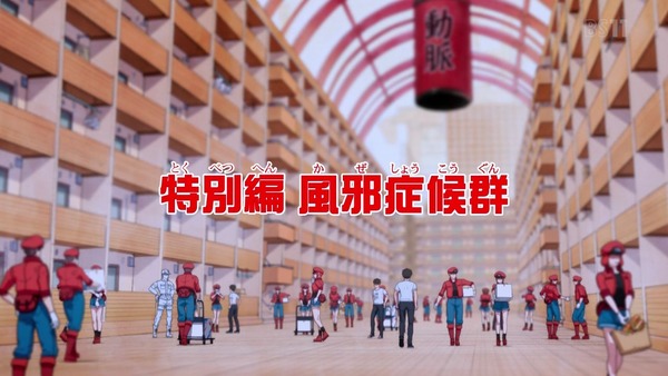 「はたらく細胞」特別編『風邪症候群』感想 (5)