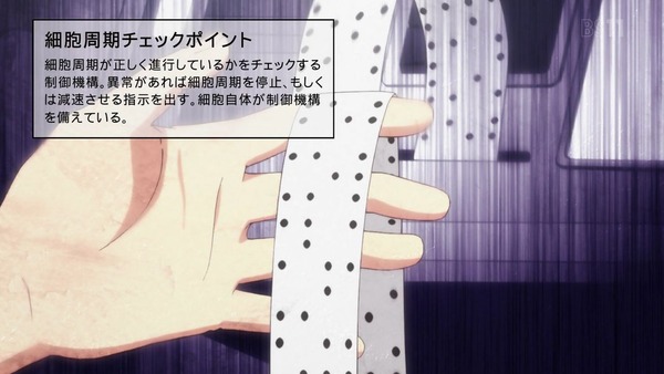 「はたらく細胞」特別編『風邪症候群』感想 (13)