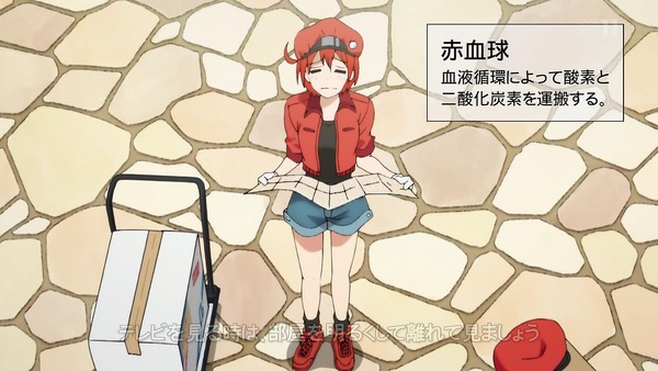 「はたらく細胞」6話感想 (47)