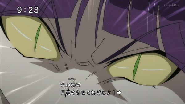 「ゲゲゲの鬼太郎」6期 10話感想 (60)