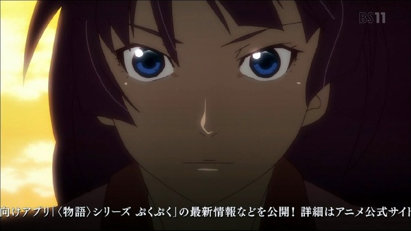 「暦物語」1話『こよみストーン』2話『こよみフラワー』感想 (46)
