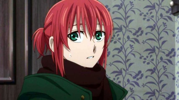 「魔法使いの嫁」17話 (13)
