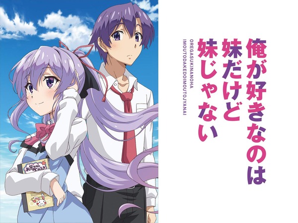 俺が好きなのは妹だけど妹じゃない
