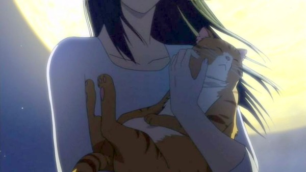 「舟を編む」 (53)