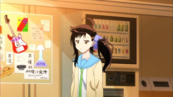 ニセコイ (30)