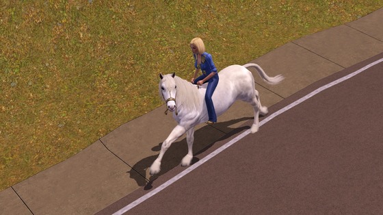 Screenshot-337