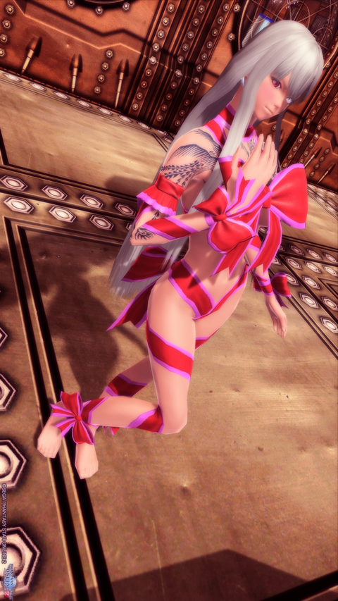 pso20170125_234959_020のコピー