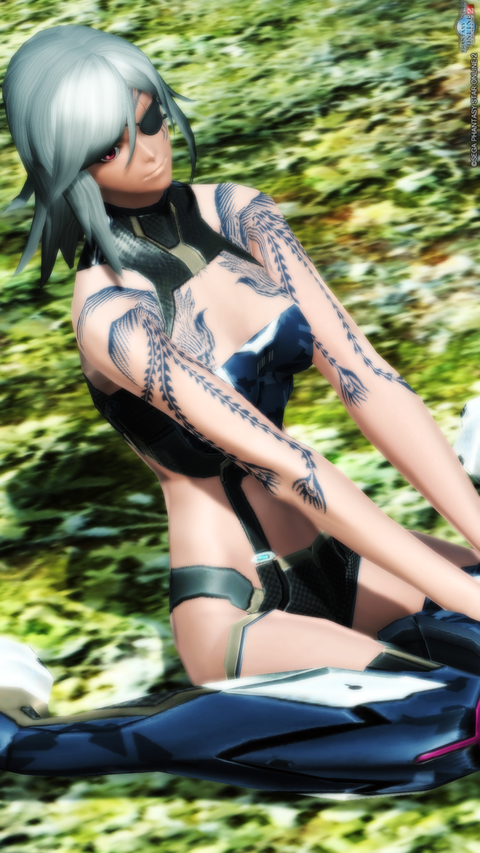 pso20170805_000702_029のコピー