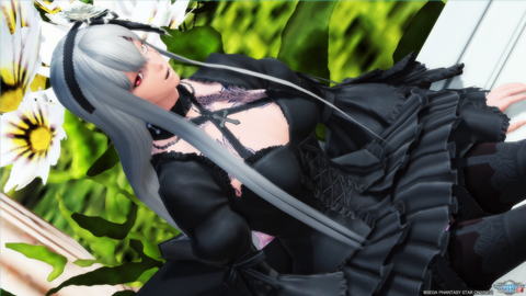 pso20170511_000318_108のコピー