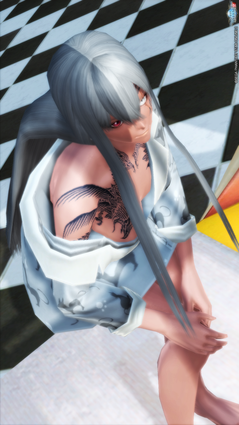pso20170209_003411_042のコピー