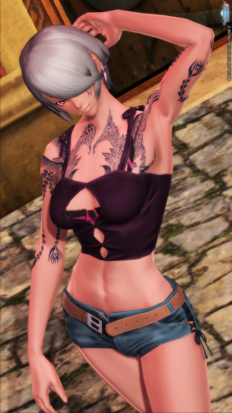 pso20161229_001732_005のコピー
