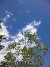 e37027c9.jpg