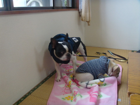 DSC04248