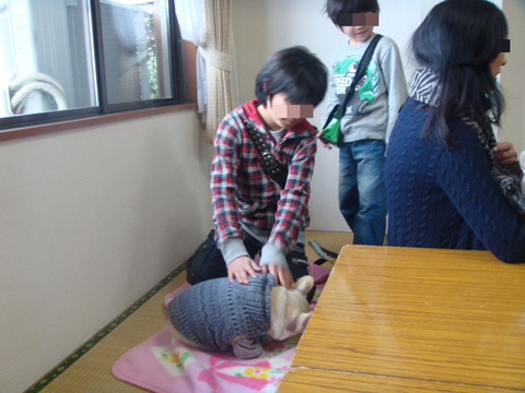 BlogPaint