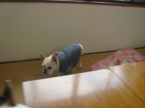 DSC04242