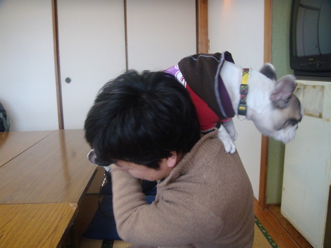 DSC04236