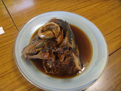DSC04256