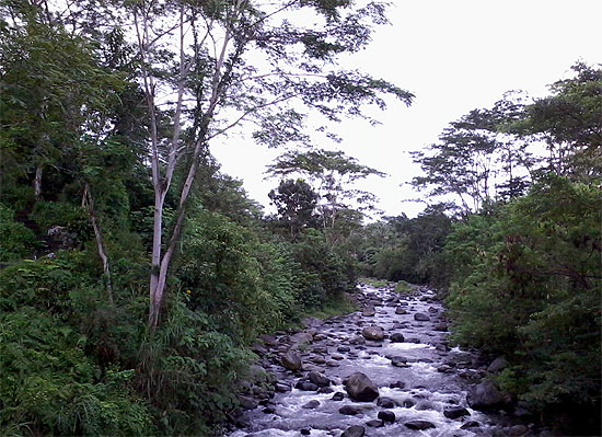 20130529_02.jpg
