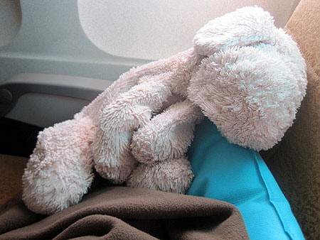 201110160_inu.jpg
