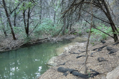 20110423 445