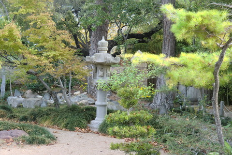 20111125 152
