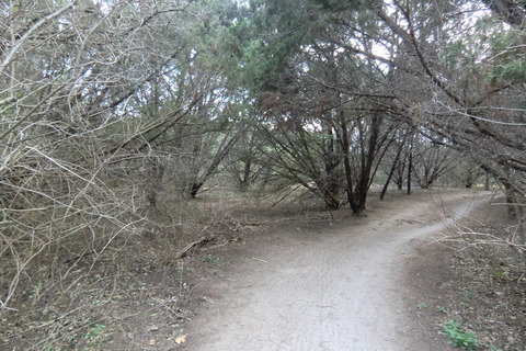 Walnut creek metropolitan park 0304 001