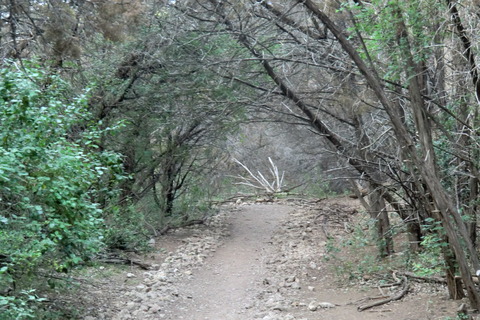 20110423 463