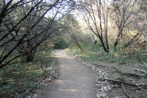 20110423 443